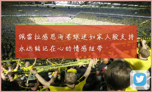 佩雷拉感恩海港球迷如家人般支持永远铭记在心的情感纽带